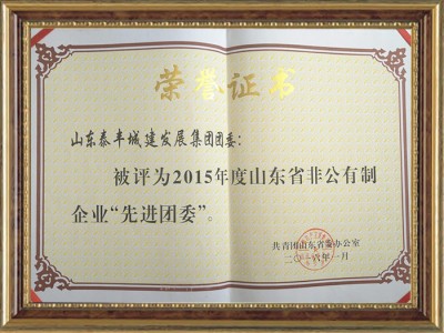 非公有制企業紅旗團委