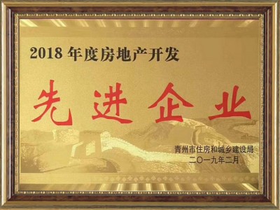 房地產開發**企業