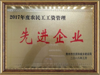 2017年度農民工工資管理**企業