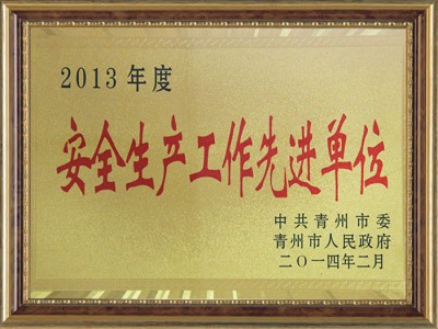 2013年度安 全生產工作**單位