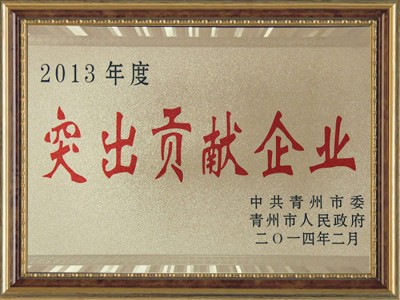 2013年度突出貢獻企業
