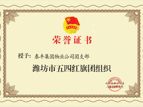 濰坊市五四紅旗團(tuán)組織