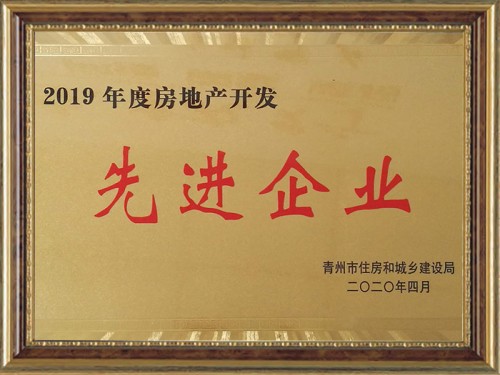 2019年度房地產(chǎn)開發(fā)先 進(jìn)企業(yè)