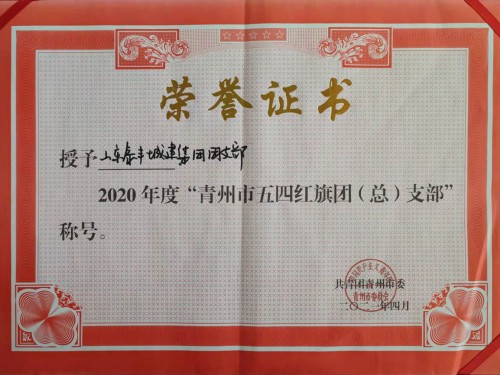  2020年度”青州市五四紅旗團(tuán)支部“