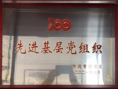 建黨100周年 先 進(jìn) 基層黨組織