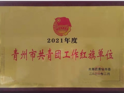 2021年度”青州市共青團(tuán)工作紅旗單位“