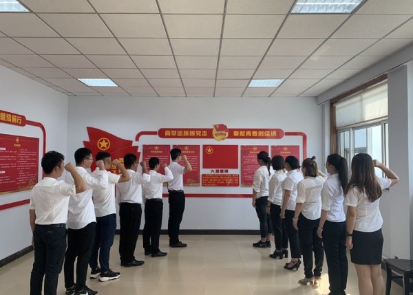 泰豐集團“我為國旗添光彩”喜迎祖國70華誕主題團活動
