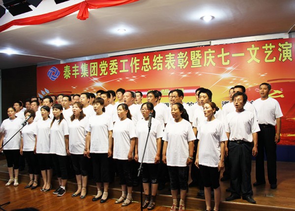 擒住建黨90周年總結(jié)表彰暨慶七一文藝表演