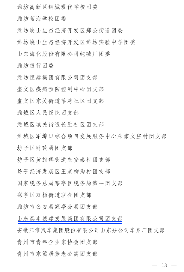 濰團發【2022】11號--關于表揚2021年度“濰坊市**共青團員”“濰坊市**共青團干部”“濰坊市五四紅旗團組織”“濰坊市青春擔當好青年_13.png